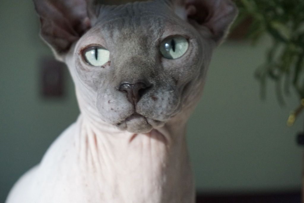 Digging Graves: The Cost of&nbsp;Grief