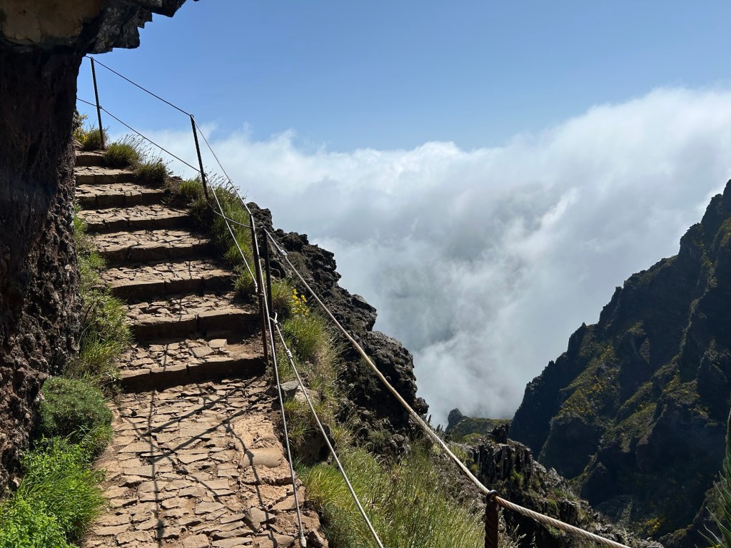 Madeira: Island Adventure of Waterfalls, Whales, and&nbsp;Whoopsies